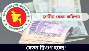 নতুন পে স্কেল বেতন কাঠামো